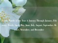 Twelve Months of the Year A Journey Through January, February, March, April, May, June, July, August, September, October, November, and December