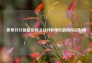 职级并行最新细则出台对教师发展的深远影响
