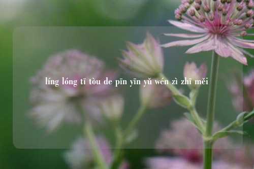 líng lóng tī tòu de pīn yīn yǔ wén zì zhī měi