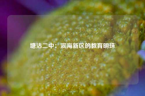 塘沽二中：滨海新区的教育明珠