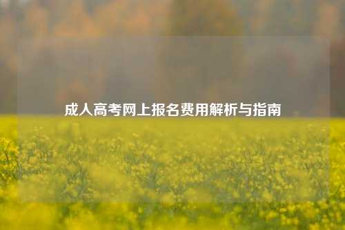 成人高考网上报名费用解析与指南