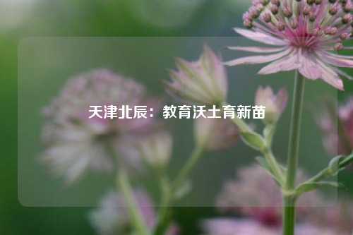 天津北辰：教育沃土育新苗